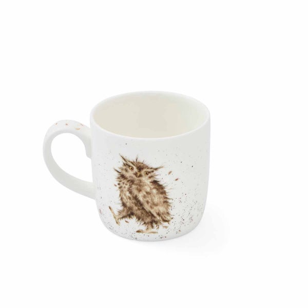 Royal Worcester Wrendale Designs What A Hoot Owl Mug