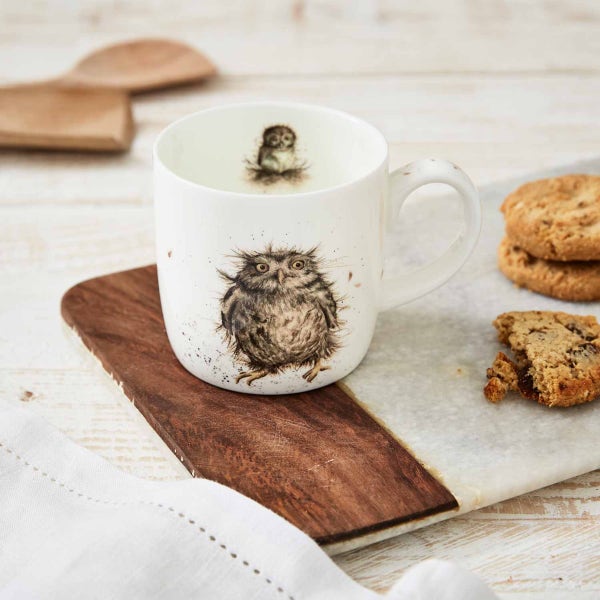 Royal Worcester Wrendale Designs What A Hoot Personalised Mug