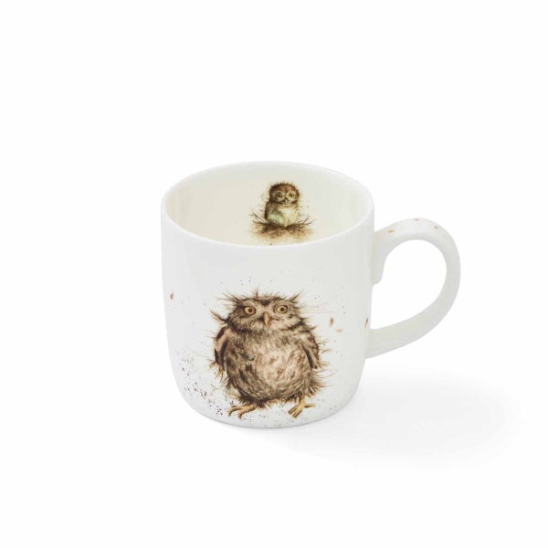 Royal Worcester Wrendale Designs What A Hoot Personalised Mug