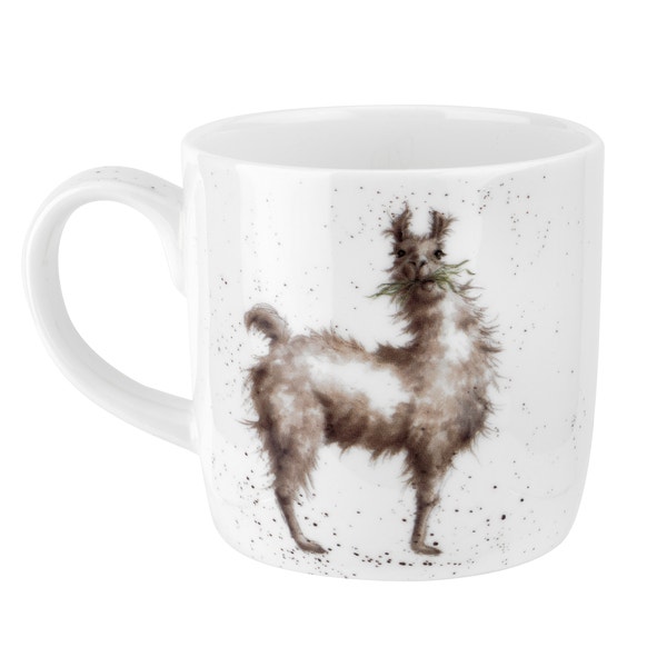 Royal Worcester Wrendale Designs Zoo Gift Set Of 4 Mugs