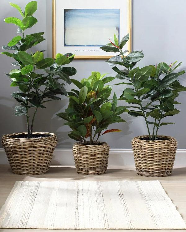royalcraft Set of 3 Lined Plant Baskets