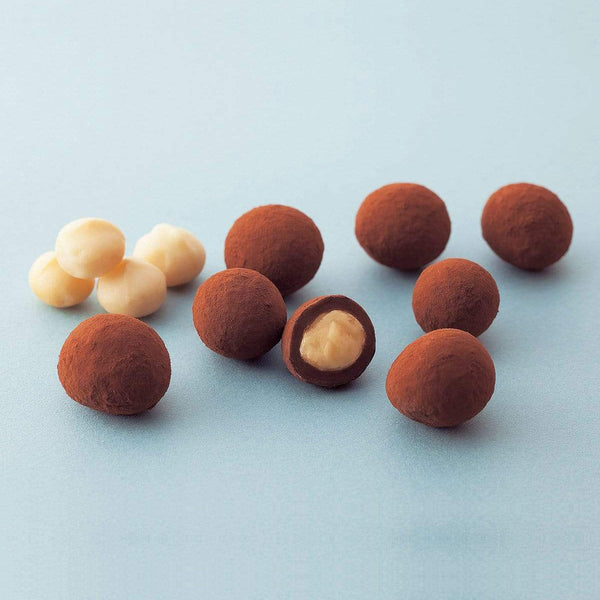 Royce Macadamia Chocolate