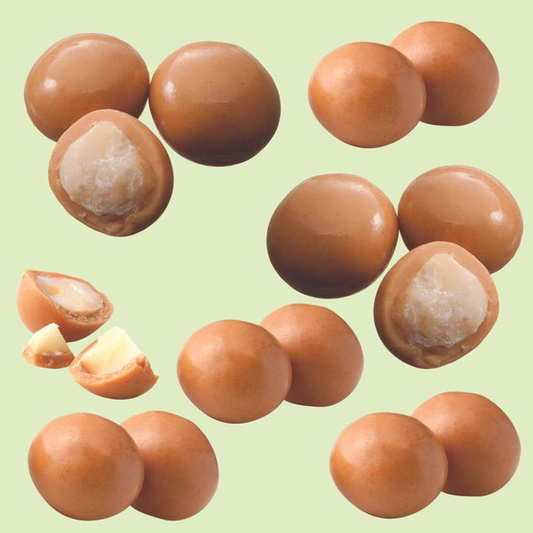 Royce Macadamia Gianduja Chocolate