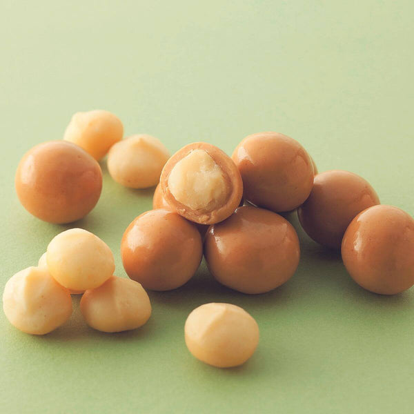 royce Macadamia Gianduja Chocolate