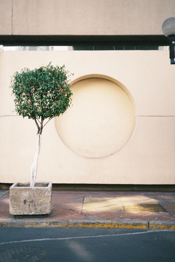 rrres Land INTRO Wool Rugs