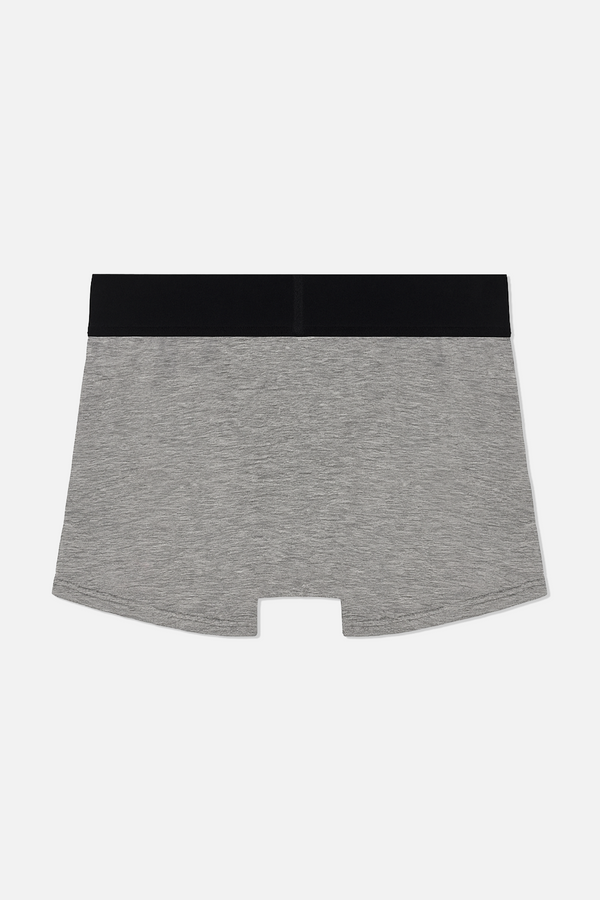 Rta ALEX BOXER BRIEF