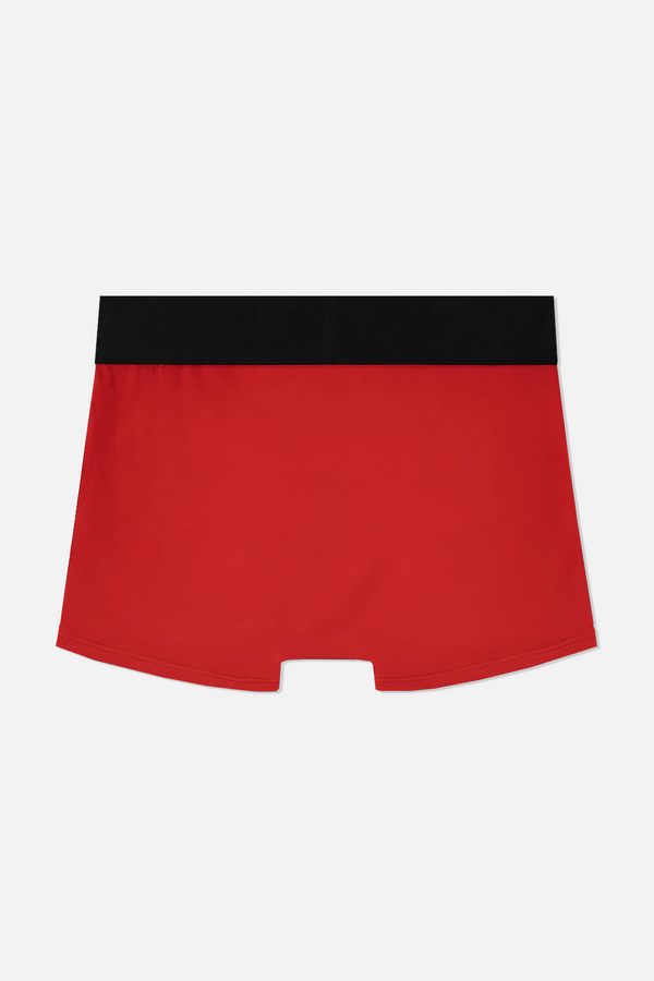 Rta ALEX BOXER BRIEF