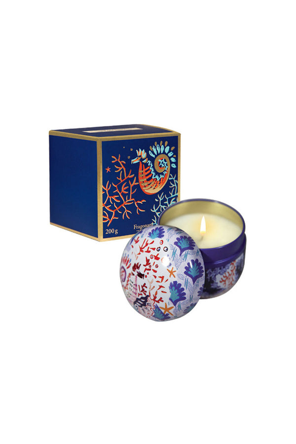 rue madam Candle Jfb202 Menthe-Basilic