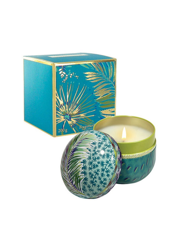 rue madam Candle Jfb206 Coriandre-Lemongrass