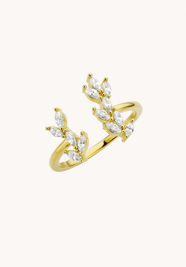 rue madam Ring Ba-254g Metal