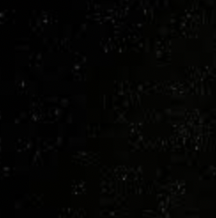 Rum Knuckles RK London T-Shirt