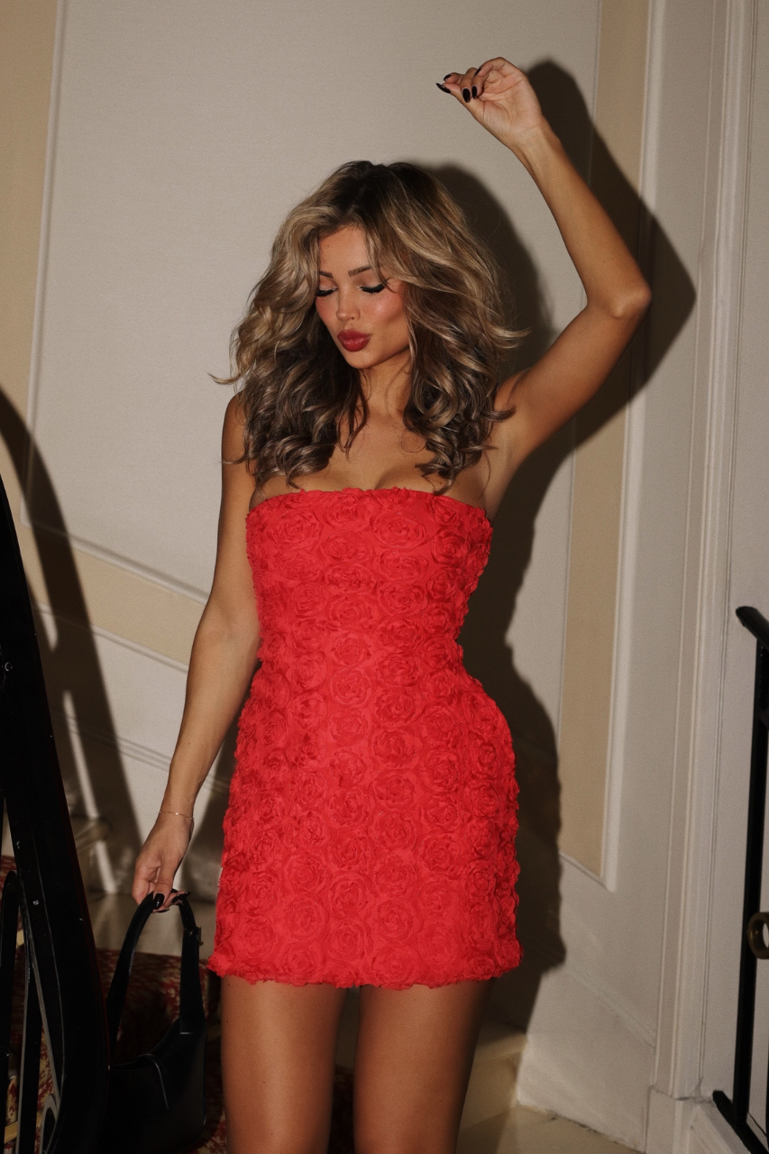 runaway the label ROSALINE MINI DRESS - RED