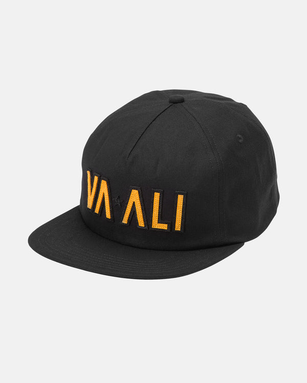 rvca VA X Ali Trucker