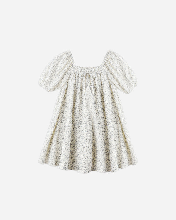 rylee cru Sabrina Mini Dress Blue Vines