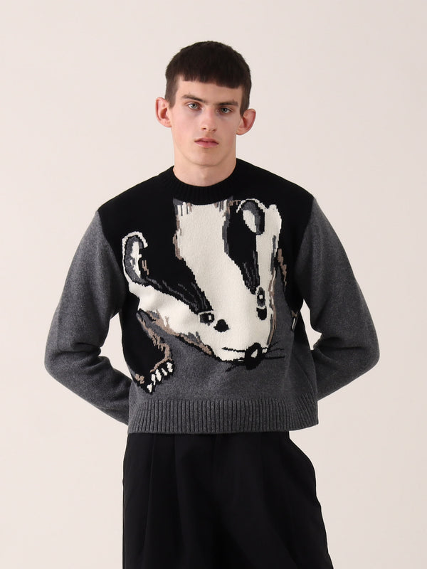 s.s. daley BADGER SWEATER