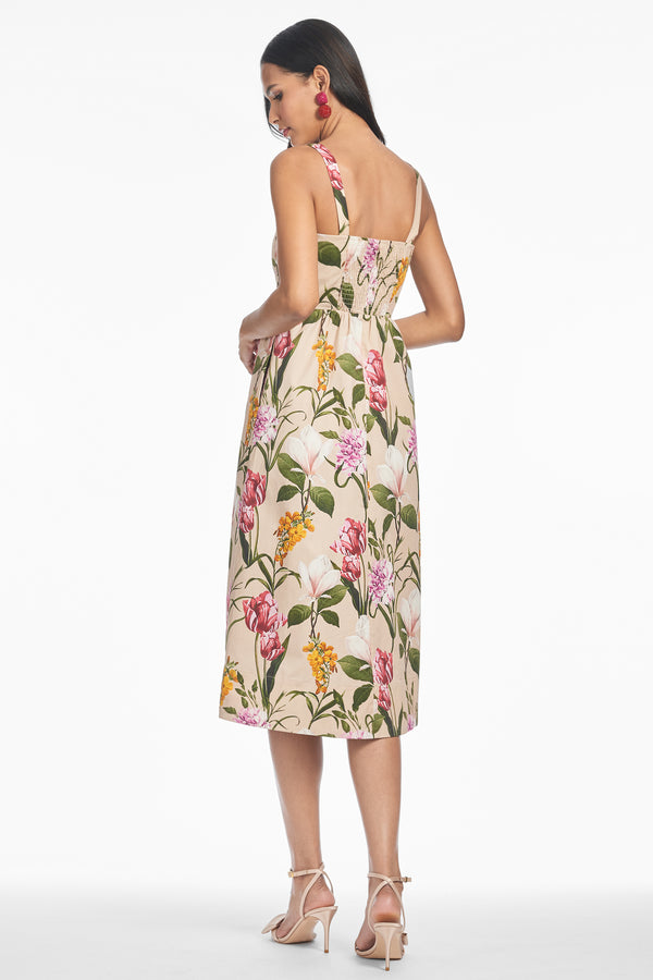 Sachin & Babi OLENA DRESS - FRENCH BRISTRE BLOSSOMS