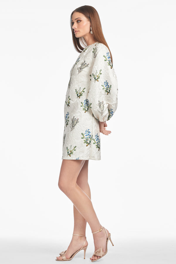 Sachin & Babi PERRY DRESS - PEARL PANICLE