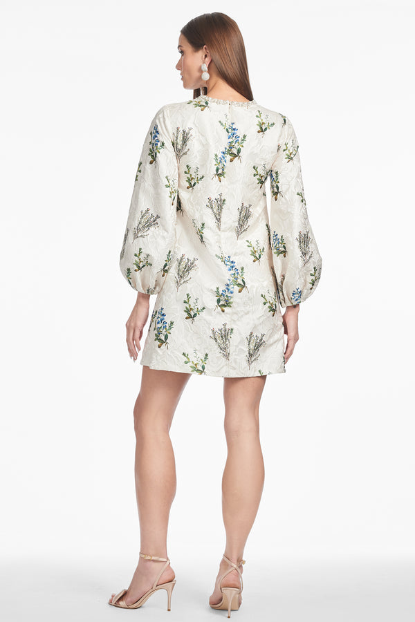 Sachin & Babi PERRY DRESS - PEARL PANICLE