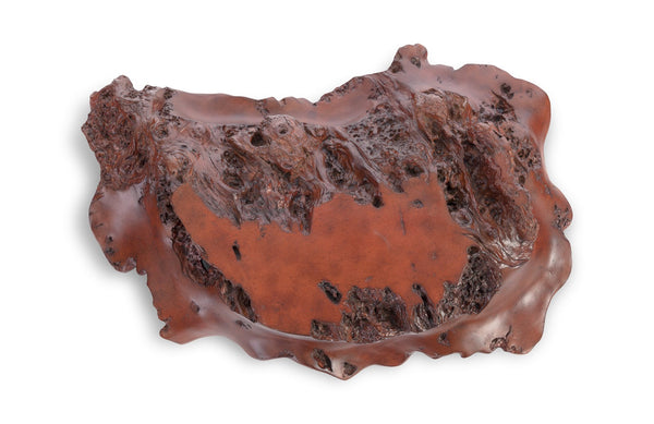 safavieh Burled Wall Art Faux Rosewood | Phillips Collection - PH67545