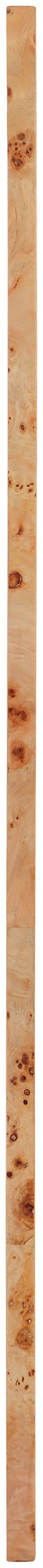 Safavieh Cresthill Natural Burl Wood Frame Mirror | Meridian Furniture - 269-M