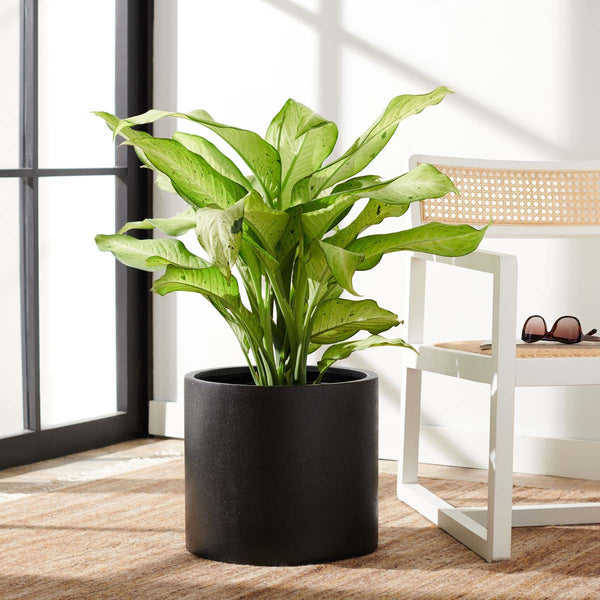 Safavieh Braslen Planter | Safavieh - PAT1516