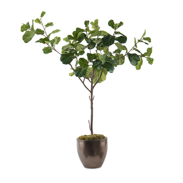 safavieh Fiddle Leaf Fig | John-Richard - JRB-5102
