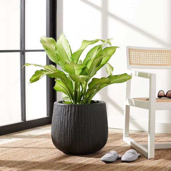 Safavieh Francia Planter | Safavieh - PAT1523