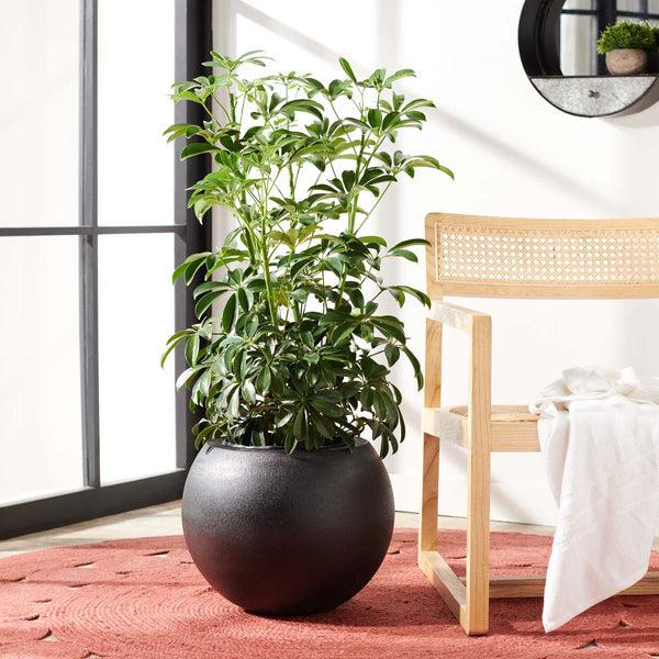 Safavieh Gerand Planter | Safavieh - PAT1518