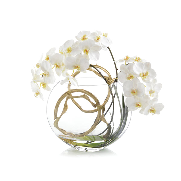 safavieh Golden Moon | John-Richard - JRB-4489W