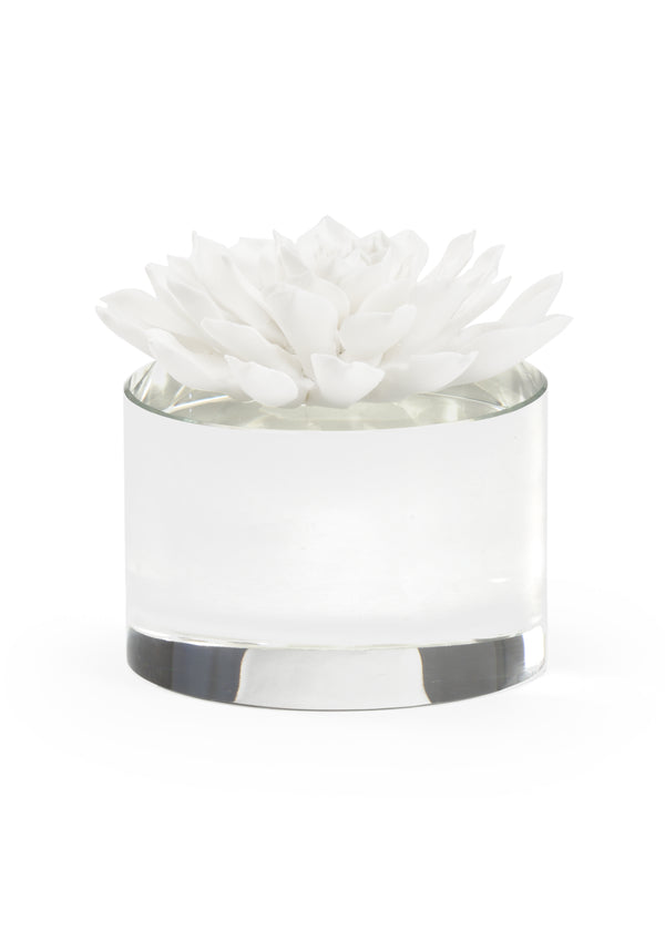 safavieh Succulent Sculpture | Chelsea House - 384543