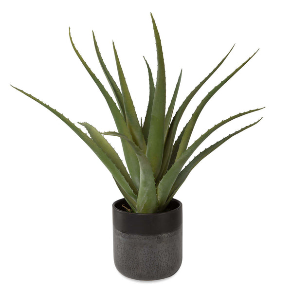 safavieh Tucson Aloe Planter | Uttermost - 60204