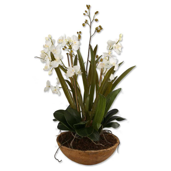 safavieh Uttermost Moth Orchid Planter