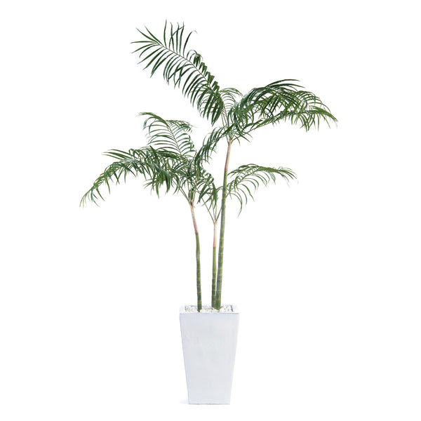 safavieh White Palms | John-Richard - JRB-4318
