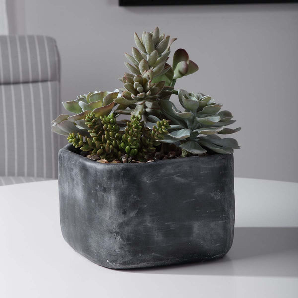 Safavieh Uttermost Alverio Desert Garden Succulents