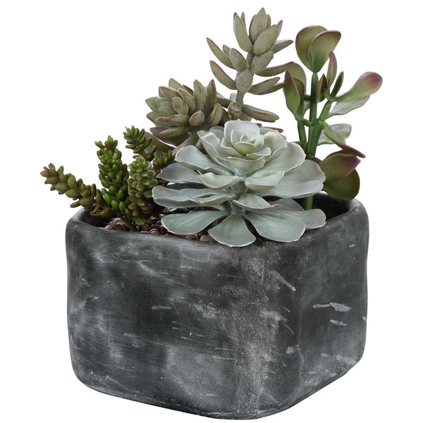 safavieh Uttermost Alverio Desert Garden Succulents
