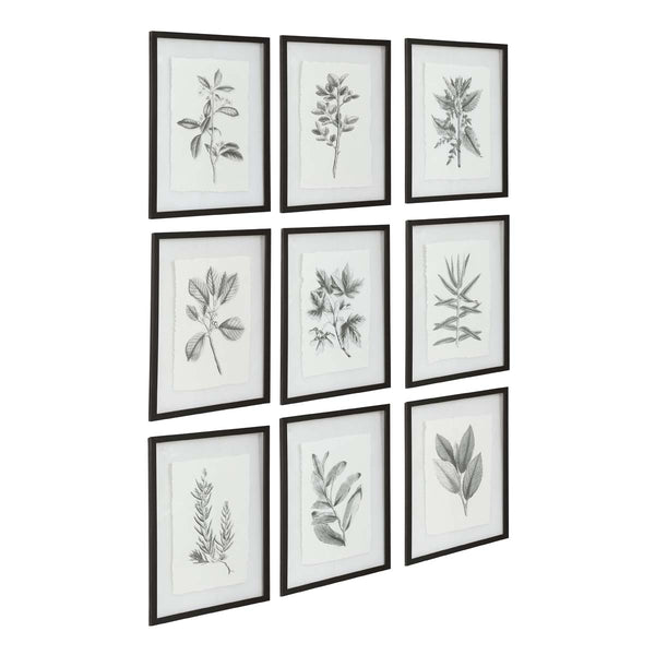 Safavieh Uttermost Farmhouse Florals Framed Prints S/9