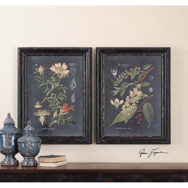 Safavieh Uttermost Midnight Botanicals Wall Art S/2
