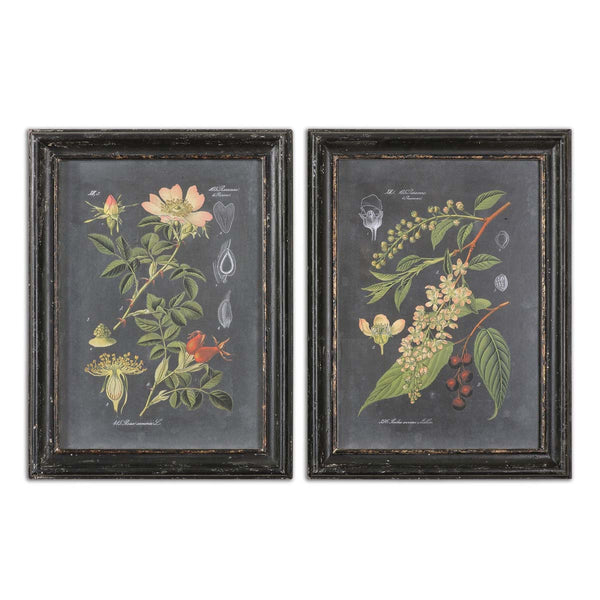 safavieh Uttermost Midnight Botanicals Wall Art S/2