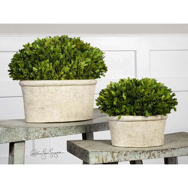Safavieh Uttermost Oval Domes Preserved Boxwood Set/2
