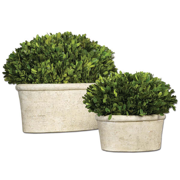 safavieh Uttermost Oval Domes Preserved Boxwood Set/2