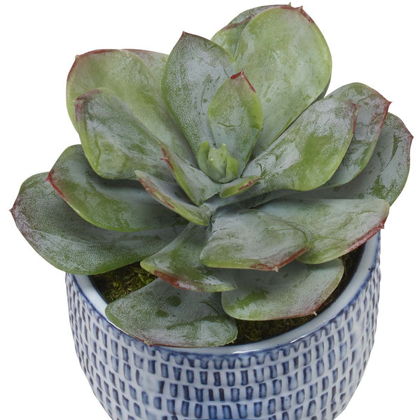 Safavieh Uttermost Puebla Greenery In Blue & White Pots S/3