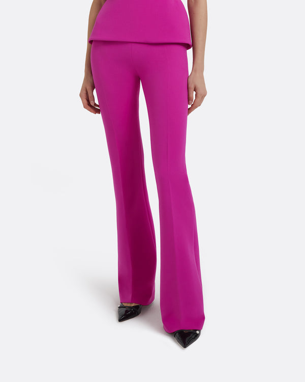 Safiyaa Alexa Trousers In Pompeii