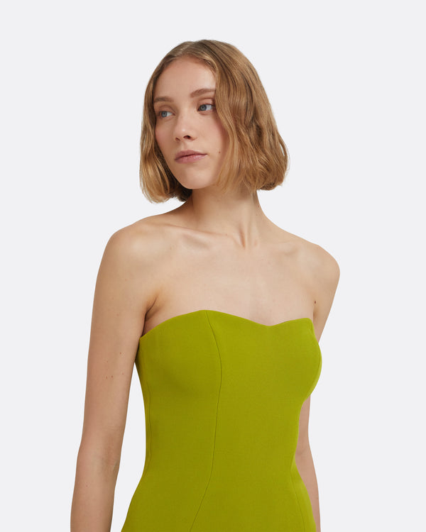 Safiyaa Angelina Long Dress In Woodbine