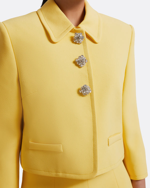 Safiyaa Arata Jacket In Aspen Gold With Crystal