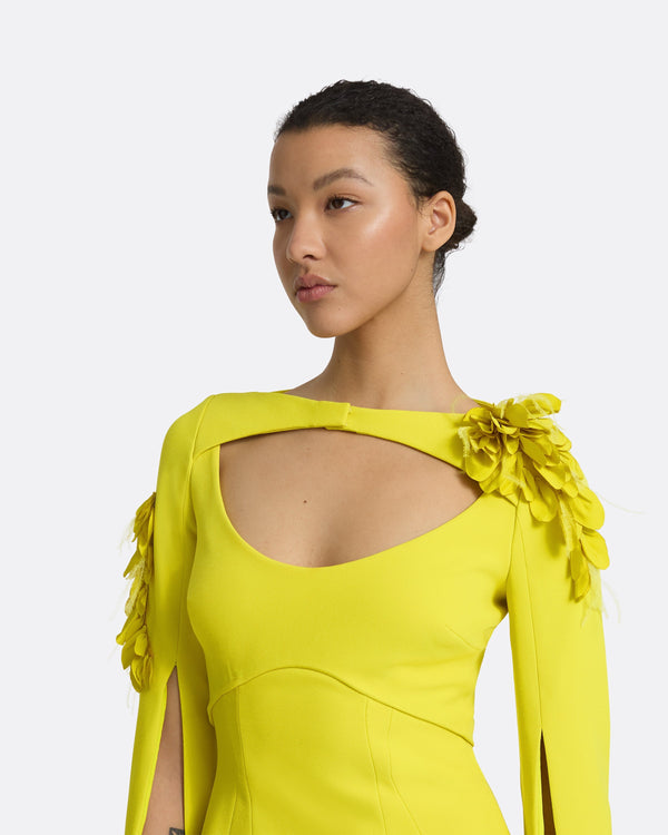 Safiyaa Mila Chartreuse Embroidered Short Dress