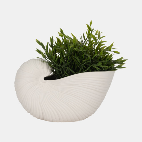 Sagebrook Home 10" Nautilus Shell Planter White Wishlist Create New