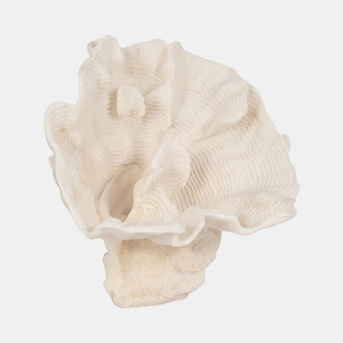 Sagebrook Home 12" Coral Fan Decor Ivory Wishlist Create New