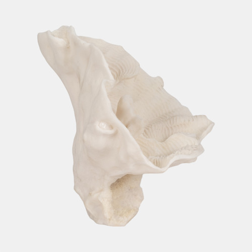 Sagebrook Home 12" Coral Fan Decor Ivory Wishlist Create New