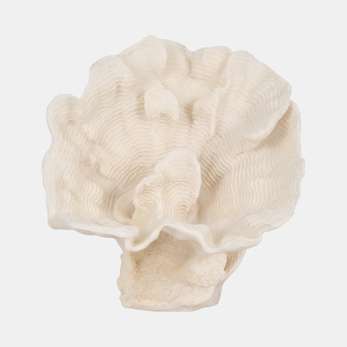 sagebrook home 12" Coral Fan Decor Ivory Wishlist Create New