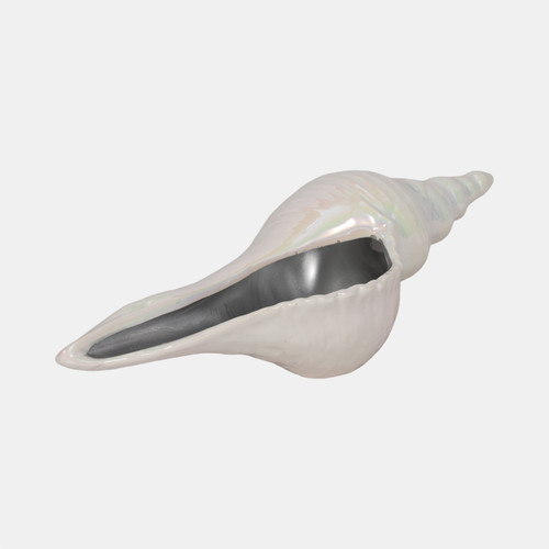 Sagebrook Home 12" Long Iridescent Seashell With Silver Ivory/si Wishlist Create New
